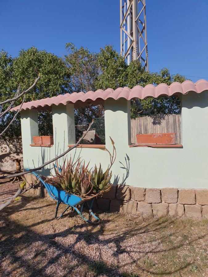 Villa Casa Alex Guardamar del Segura Exterior foto
